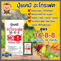 ราคา ปุ๋ยเคมี กระสอบเต็ม 50 กิโลกรัม มีให้เลือก สูตร 46 0 0 18 46 0 0 0 60 16 8 8 15 15 15 6 3 30 ใช้ได้กับพืชทุกชนิด พืชโตไว สมบูรณ์ (10953962065)