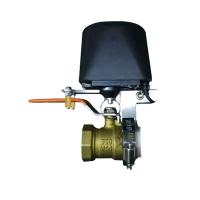 ราคา Tuya Smart WiFi Water Valve Gas Valve Bluetooth Timer Garden Smart Faucet for Alexa Assistant Smartlife EU Plug (21527563204)