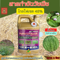 ราคา ไกลโฟเซต48 ตะเกียง ทอง 4ลิตร สารกำจัดวัชพืช ชนิดดูดซึม ไม่เลือกทำลาย หญ้าตายนานยันราก ฆ่าหญ้า ใบแคบ ใบกว้าง และ กก ทุกชนิด (22099453017)