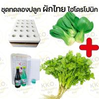 ราคา ชุดปลูก ชุดปลูกผักไทยและผักสลัด ชุดปลูกผักไฮโดร และอุปกรณ์ยกชุด เลือกเมล็ดผักเองได้ (22180070434)
