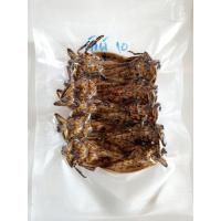 ราคา แมงดานาธรรมชาติแท้ แมงดาคั่วสุก แมงดาตัวผู้ แมงดาตัวเมีย ไว้มำน้ำพริกแมงดา แมงดาทอด (22198974419)