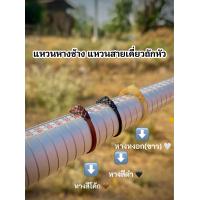 ราคา แหวนหางช้าง แหวนสายเดี่ยวถักหัว รับประกันหางแท้100 (21122352112)