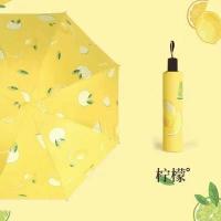 ราคา ร่ม ลายผลไม้ ลายหมี EVA ร่มกันแดด ร่มกันฝน ร่มพับได้ (14836437570)