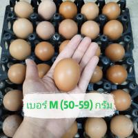 ราคา ไข่ไก่สดๆ ไข่ไก่อารมณ์ดี จากฟาร์ม เก็บใหม่ทุกวัน ไซส์S M L 30ฟอง (22334048453)