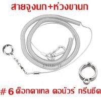 ราคา CoralCove ชุด2อย่าง สายจูงนกพร้อมห่วงนก ห่วงขานก ฟอพัส หงษ์หยก เลิฟเบิร์ด ค๊อกคาเทล กรีนชีค ตระกูลคอนัวร์ ซันคอนัวร์ นกเอี้ยง ของเล่นนกแก้ว (21446214825)