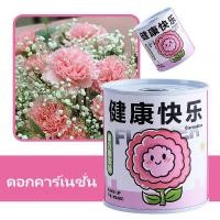ราคา ดอกทานตะวัน สตรอเบอร์รี่ ชุดปลูกดอกไม้ ชุดปลูกผัก ชุดพร้อมปลูก ทานตะวัน สตรอว์เบอร์ หญ้านำโชค (22343125985)