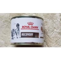 ราคา Royal Canin Recovery อาหารกระป๋องสำหรับสัตว์พักฟื้น (22168076028)