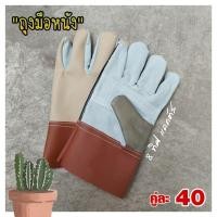 ราคา ถุงมือหนัง ถุงมือหนัง ป้องกันหนาม อย่างดี คู่ละ 40 บาท จับ แคคตัส กระบองเพชร (16429534710)