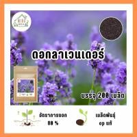 ราคา เมล็ดพันธุ์ดอกลาเวนเดอร์ บรรจุ 200 เมล็ด (21035421950)