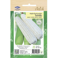 ราคา รวมผักเจียไต๋ ผักซอง เจียไต๋ F1 100 กว่าชนิด สลัด บล็อคโคลี่ แตงโม กรีนโอ๊ค หน่อไม้ฝรั่ง (20056701990)