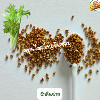 ราคา เมล็ดพันธุ์ คื่นฉ่าย เมล็ดคื่นฉ่าย ผักคื่นฉ่าย อัตรางอก 98 Celery เมล็ดผัก ขนาด 0 05 กรัม (20132031063)