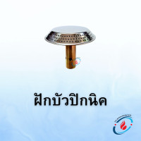 ราคา ฝักบัวปิคนิค พร้อมนมหนู ฝักบัวเตาแก๊สปิคนิค (21640799973)