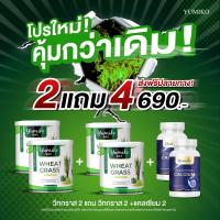 ราคา ส่งฟรีแท้1 แถม 1 2 กระปุก วีทกราส คลอโรฟิลล์ จาก แบรนยูมิโกะ Wheatgrass chlorophyll by yumiko (18499202368)