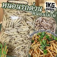 ราคา หนอนรถด่วน หนอนไม้ไผ่ 1kg ละลายเหลือ85 90 ค่าส่งแบบเหมา ส่งขนส่งแช่เย็น ฟรีลังโฟมทุกจังหวัด คละสินค้าได้ทั้งร้าน (21371114794)