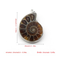 ราคา จี้หินธรรมชาติ1ชิ้นจี้แอมโมไนต์เปลือกหอยหอยทากมหาสมุทรบรรเทาอาการหอยสังข์เครื่องประดับทำ DIY เครื่องประดับ kalung hewan (21983508845)