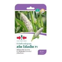 ราคา ข้าวโพดข้าวเหนียว สวีท ไวโอเล็ท SD F1 038 ผักซอง ศรแดง F1 เมล็ดพันธุ์ผัก ข้าวโพด เมล็ดพันธุ์ ผักสวนครัว (20115349298)