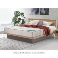 ราคา Koncept Furniture ที่นอนKC VENUS 4 RT ขนาด6ฟุต 182X198X22 ซม (7857273208)