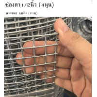 ราคา ทนสนิม ลวดตาข่ายชุบกัลวาไนซ์ ชุบร้อน ช่องตา 1 2 1 2x1 1 2x2 1 2x3 ตะแกรงเหล็ก ตาข่ายกันนก กรงไก่ กรงนก กันงู นกแก้ว ซันคอร์นัวร์ มาคอร์ ตาข่าย ฉาบผนัง (19212208277)