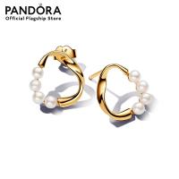 ราคา Pandora 14k Gold plated stud earrings (21871546933)