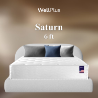 ราคา Wellplus ที่นอนสปริง รุ่น Saturn ความหนา 9 นิ้ว นุ่มเด้ง นอนสบาย สปริงเกรดพรีเมียมคุณภาพดี (22303682781)