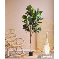 ราคา ต้นไทรใบใหญ่เทียม ต้นไทรไหมเทียม ขนาด120 150 180cm เหมาะสำหรับตกแต่งห้องนั่งเล่น ในร่ม กลางแจ้ง สำนักงาน บ้าน ของขวัญ (22416101361)