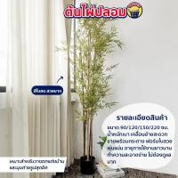 ราคา ต้นไม้ปลอม ไผ่ปลอมสีทอง มีหลายขนาด ต้นไม้ประดิษฐ์ ไผ่ปลอมสีทองสวยสมจริง (19698726328)