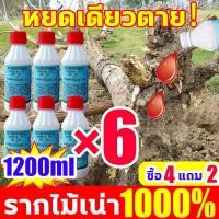 ราคา 1หยดรากเน่า ยาฆ่าไม้ไผ่ ต้นไผ่ทั้งหมดตายในชั่วข้ามคืน ยาฆ่ากอไม้ไผ่ เข้มข้นสุดๆ 1ขวดเท่ากับ30ขวด ยาฆ่าตอไม้ใหญ่ ไม่ทำร้ายดิน ยากำจัดต้นไม้ใหญ่ เหมาะสำหรับกำจัดวัชพืช ต้นไม้ และไผ่ทุกชนิด สารกำจัดก่อไ 