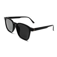 ราคา แว่นกันแดด ENVISZO Quatto (17966251143)