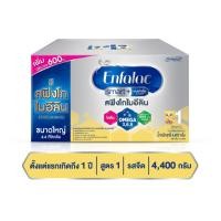 ราคา Enfalac Smarts สูตร 1 ขนาด 4400 กรัมบรรจุ8ถุง หมดอายุ 30 1 26 (22538237055)