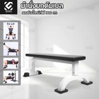 ราคา เก้าอี้นั่งเล่นดัมเบล ม้านั่งดัมเบล ม้านั่งยกน้ำหนักสำหรับฟิตเนสเล่นกล้าม (464112101)