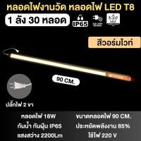 ราคา หลอดไฟงานวัดT8 30ชุด หลอดไฟงานวัดLED พร้อมปลั๊ก T8 ไฟงานวัด หลอดนีออนสี หลอดไฟงานวัด (21886421570)