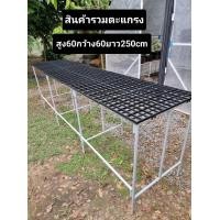 ราคา ขาโต๊ะเหล็กชั้นวางเหล็กชั้นวางต้นไม้พร้อมตะแกรงพลาสติกขนาดสูง60cmกว้าง60cmยาว250cm (21802342496)