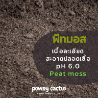 ราคา พีทมอส วัสดุปลูก ลิตร กัญ ใช้สำหรับเพาะเมล็ดกระบองเพชร สมุนไพร ผัก และต้นไม้ หรือผสมดินปลูกแคคตัสค่ะ เพาะเมล็ด ดินปลูก (21494169241)