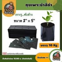 ราคา GOOD ถุงเพาะชำ ขนาด 2 5 บรรจุ 10 Kg ถุงชำ ถุงเพาะชำสีดำ ถุงปลูกต้นไม้ ถุงดำ หนา เหนียว (10865181588)