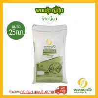 ราคา ส่งฟรีเฉพาะกรุงเทพฯ พนมรุ้ง ญี่ปุ่น ขนาด 25 กก (20540527412)