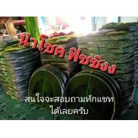 ราคา ไอ้โง่ดักปลาหรือดักกุ้ง ตาข่าย 2 5เซน สูง65เซน มีงาทุกช่อง (21509502101)