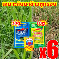 ราคา ใช้1ครั้ง50ปีไม่มีวัชพืช สารกำจัดวัชพืชในนาข้าว รายได้ข้าวเพิ่มขึ้น200 ยาฆ่าหญ้าในนาข้าว 1ฟรี1 ยาฆ่าหญ้าในนา ไม่ทำร้ายข้าว ยากำจัดวัชพืชในนาข้าว เห็ ผลรวดเร็ว กำจัดวัชพืชในนาข้าวได้100 ยาฆ่าหญ้านาข้าว