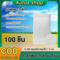 ราคา ถาดเพาะกล้านาโยน ถาดเพาะข้าว ถาดเพาะชำ ถาดเพาะเมล็ด 10 700 ชิ้น ถาดเพาะกล้า 434 หลุม (22319521792)