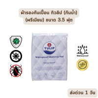 ราคา HOT DEAL จัดเต็ม ผ้ารองกันเปื้อน ที่นอน ทิวลิป tulip แซนต้า santa ขนาด 3 5 5 และ 6 ฟุต มีทั้งแบบกันน้ำ และ ไม่กันน้ำ Premium Protector หนา 14 นิ้ว (22308483240)