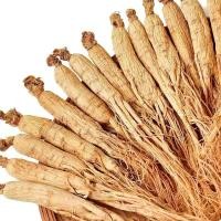 ราคา วัสดุยาจีนโสมภูเขา Changbai โสมป่าภูเขาป่า8ปีซัลเฟอร์โสมโสมดิบโสมโสมโสมสีขาวโสมแปลงโสมป่าตะวันออกเฉียงเหนือ Ginsengชลประทาน (20234610399)