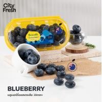 ราคา CityFresh บลูเบอร์รี่ Blueberry Driscoll s จากออสเตรเลีย ผลไม้นำเข้า (22636342954)