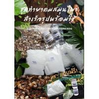 ราคา ชุดทำยาดมสมุนไพรสำเร็จรูปพร้อมใช้ ยาดมสมุนไพร DIY ของแจก ของชำร่วย ของชำร่วยทำเอง สมุนไพรหอม (22433556455)