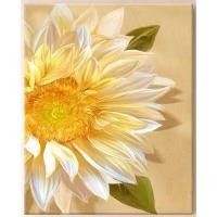 ราคา ภาพวาดขนาด40X50ซม พร้อมตัวเลขสำหรับการวาดภาพงานฝีมือรูปภาพตกแต่งบ้านตกแต่งภายในดอกโบตั๋นแสงจันทร์ (20712971790)