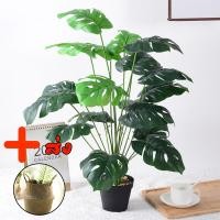 ราคา แจกกระถางดอกไม้ฟรี ต้นไม้ปลอม ต้นไม้ประดิษฐ์ 74CM ต้นไม้ปลอมตกแต่งบ้าน ต้นไม้มงคล พืชสีเขียว ของตกแต่งบ้านอื่นๆ กระถางต้นไม้ (22487154662)