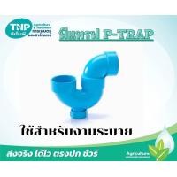 ราคา P Trap พีแทรฟ อุปกรณ์สำหรับป้องกันกลิ่นเหม็นย้อนกลับในระบบน้ำทิ้ง (21877476916)