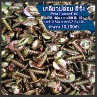 ราคา สกรู เกลียวปล่อย เหล็ก ชุบรุ้ง หัวT หัวร่ม 10100 ตัว เบอร์8 เบอร์10ยาว 3 8 1 2 5 8 3 4 1 นิ้ว เกลียวปล่อย หัวเตเปอร์ ขันไม้ กิ๊บมอไซ กิ๊บยามาฮ่า (16468330189)