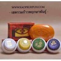 ราคา ครีมก้าวพฤกษาพันธุ์ (20287540305)