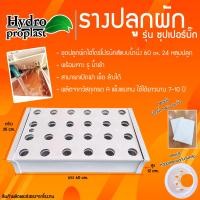 ราคา ชุดปลูกผักไฮโดรโปนิกส์แบบน้ำนิ่ง จำนวน 24 หลุม ยาว 60 cm ระยะห่างต่อหลุม 9 cmสำหรับปลูกผักไทย (22509684809)