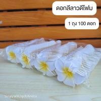 ราคา ดอกลีลาวดี โพม ดอกเปล่า ดอกลีลาวดีลอยน้ำ 1ถ่ง100ดอก (22478159950)