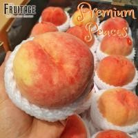 ราคา ลูกพีชสดนำเข้า PEACH 桃もも CHN ลดพิเศษ หอม หวาน ผลไม้สดๆ ผลไม้นอก ผลไม้นำเข้า ลูกท้อจีน ลูกท้อสด ผลไม้ลูกพีชนอก (8570271298)
